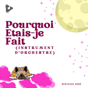 Berceuse bébé的專輯Pourquoi Etais-je Fait (Instrumental Pour Orchestre)