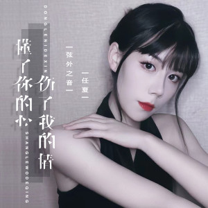 Album 懂了你的心,伤了我的情 from 弦外之音