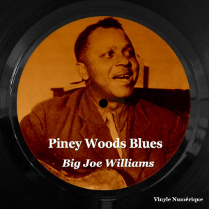 Big Joe Williams的專輯Piney Woods Blues