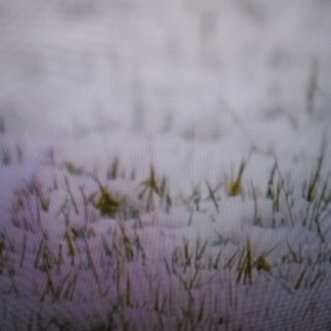 收聽Ranum的aku mencitaimu歌詞歌曲