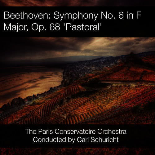 Symphony No. 6 in F Major, Op. 68: II. Andante molto mosso