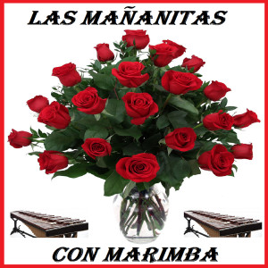 收聽Las Mananitas的Cumpleaños歌詞歌曲