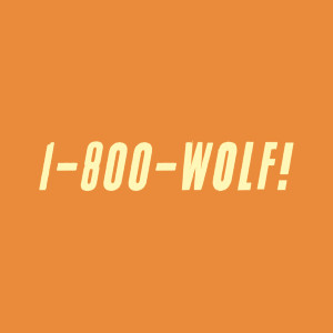 ดาวน์โหลดและฟังเพลง You Are No Longer My Friend, My Friend (feat. Scott Metzger) พร้อมเนื้อเพลงจาก WOLF!