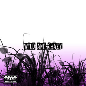 ดาวน์โหลดและฟังเพลง Wild and Crazy พร้อมเนื้อเพลงจาก Amin Violin