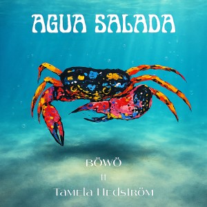 ดาวน์โหลดและฟังเพลง Agua Salada พร้อมเนื้อเพลงจาก Bowo