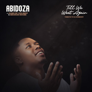 Abidoza的專輯Till We Meet Again (Tribute to DJ Sumbody) [feat. Rams De Violinist & Mduduzi Ncube]