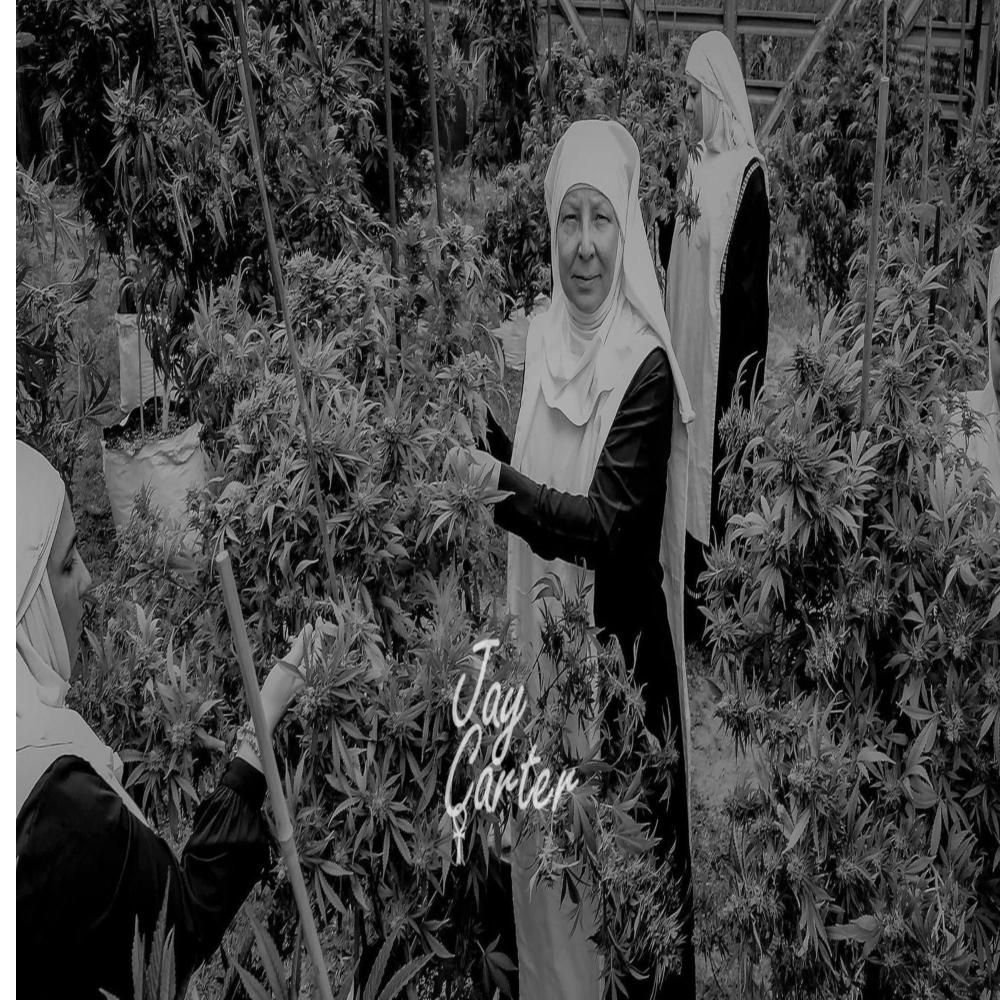 Lets Get Lifted (Explicit)