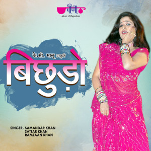 Listen to Bichhudo song with lyrics from Samandar Khan