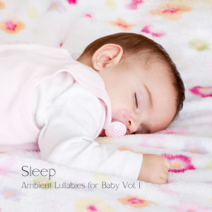 收听Baby Lullaby的Peaceful and Educational Ambient Music歌词歌曲