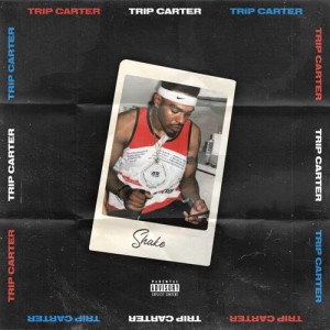 ดาวน์โหลดและฟังเพลง Shake (Explicit) พร้อมเนื้อเพลงจาก Trip Carter