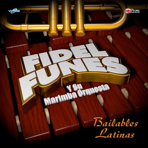 ดาวน์โหลดและฟังเพลง Ni Se Compra, Ni Se Vende พร้อมเนื้อเพลงจาก FIdel Funes Y Su Marimba Orquesta