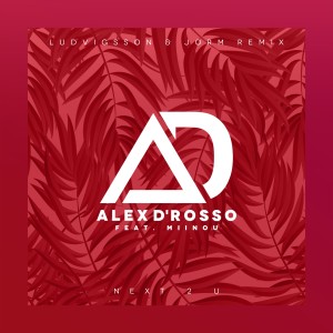 收听Alex D'rosso的Next 2 U (Ludvigsson & Jorm Remix)歌词歌曲