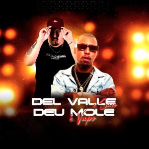 Dj Batata CWB的专辑Del Valle é Suco, Deu Mole é Vapo