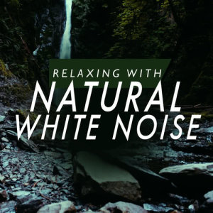 收聽Relaxing With Sounds of Nature and Spa Music Natural White Noise Sound Therapy的Sparrow Stream歌詞歌曲