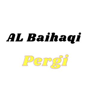 Listen to Pergi (Rasa Yang Tertinggal) song with lyrics from AL BAIHAQI