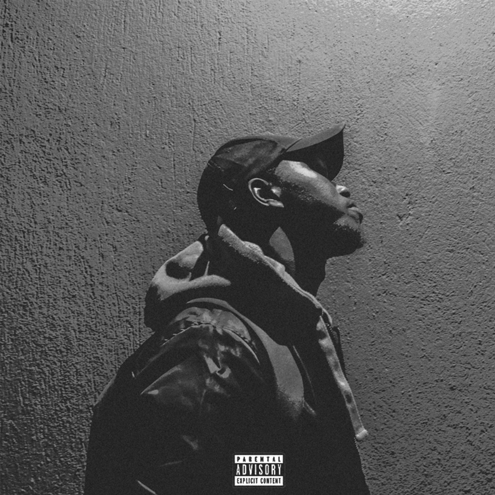 Distorted 64 Raps (Explicit)