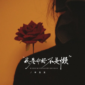 Album 我是命好不是懒 from 李发发