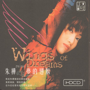 Listen to 如愿 song with lyrics from 朱桦