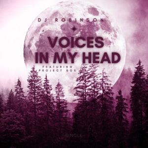Project SOS的專輯Voices in my head (feat. Project SOS)