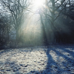ดาวน์โหลดและฟังเพลง Heavenward พร้อมเนื้อเพลงจาก Wolf Alice
