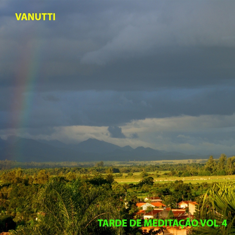 Passaros Voando (Instrumental)