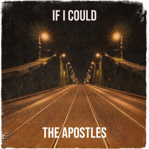 Album If I Could from 