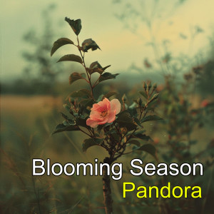 อัลบัม Blooming Season ศิลปิน Pandora