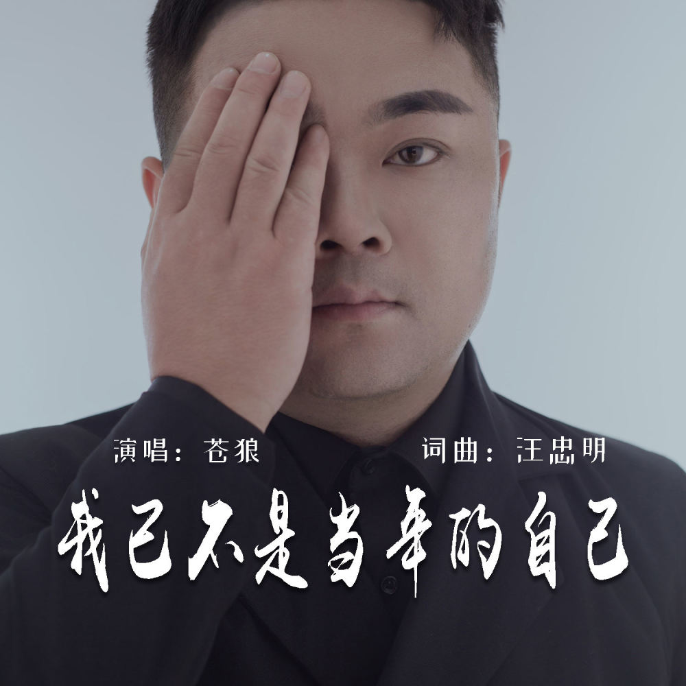 我已不是当年的自己 (伴奏)