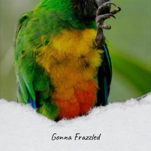 Listen to Candlebomb Mercury song with lyrics from Coey Wisa