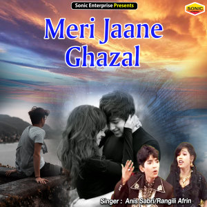 ดาวน์โหลดและฟังเพลง Meri Jaane Ghazal พร้อมเนื้อเพลงจาก Rais Anis Sabri