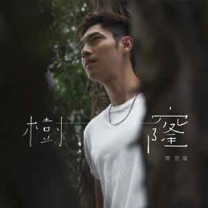 收聽關楚耀的樹窿歌詞歌曲