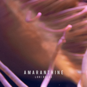 Dengarkan lagu Amaranthine nyanyian Lori Dulac dengan lirik