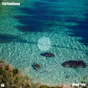 Album Need You from 
