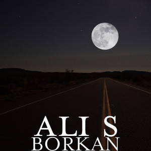 Listen to BORKAN song with lyrics from Ali S