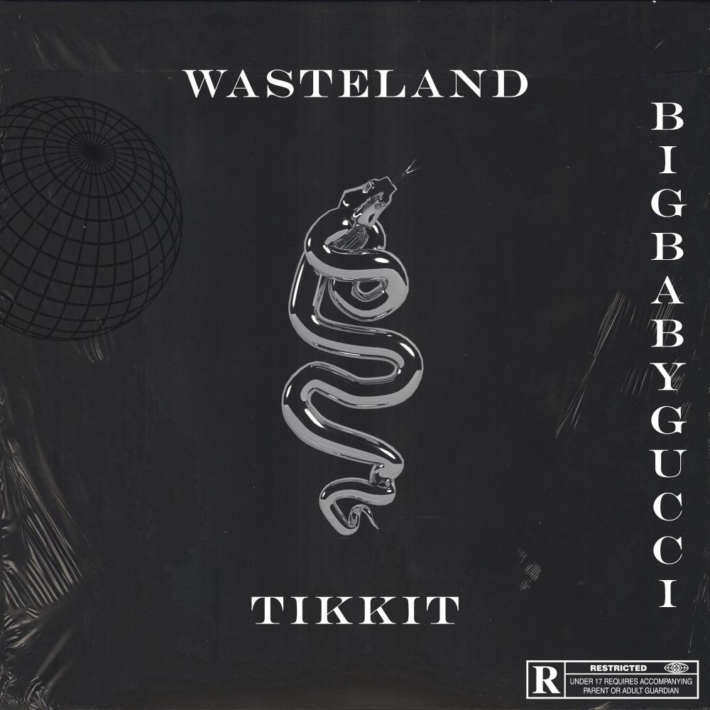 WASTELAND (feat. BIGBABYGUCCI) (Explicit)