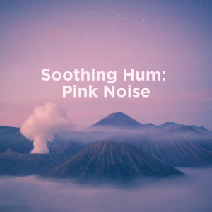 Dengarkan lagu Brown Noise and a Vacuum nyanyian Pink Noise dengan lirik