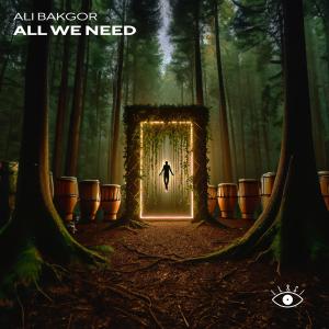 Ali Bakgor的專輯All We Need