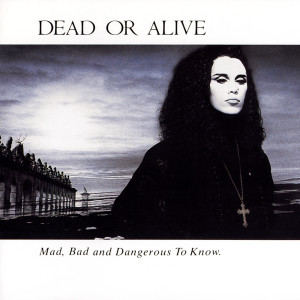 ดาวน์โหลดและฟังเพลง Son of a Gun พร้อมเนื้อเพลงจาก Dead Or Alive