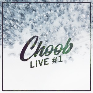 Listen to Bluebird (Live) song with lyrics from Choob