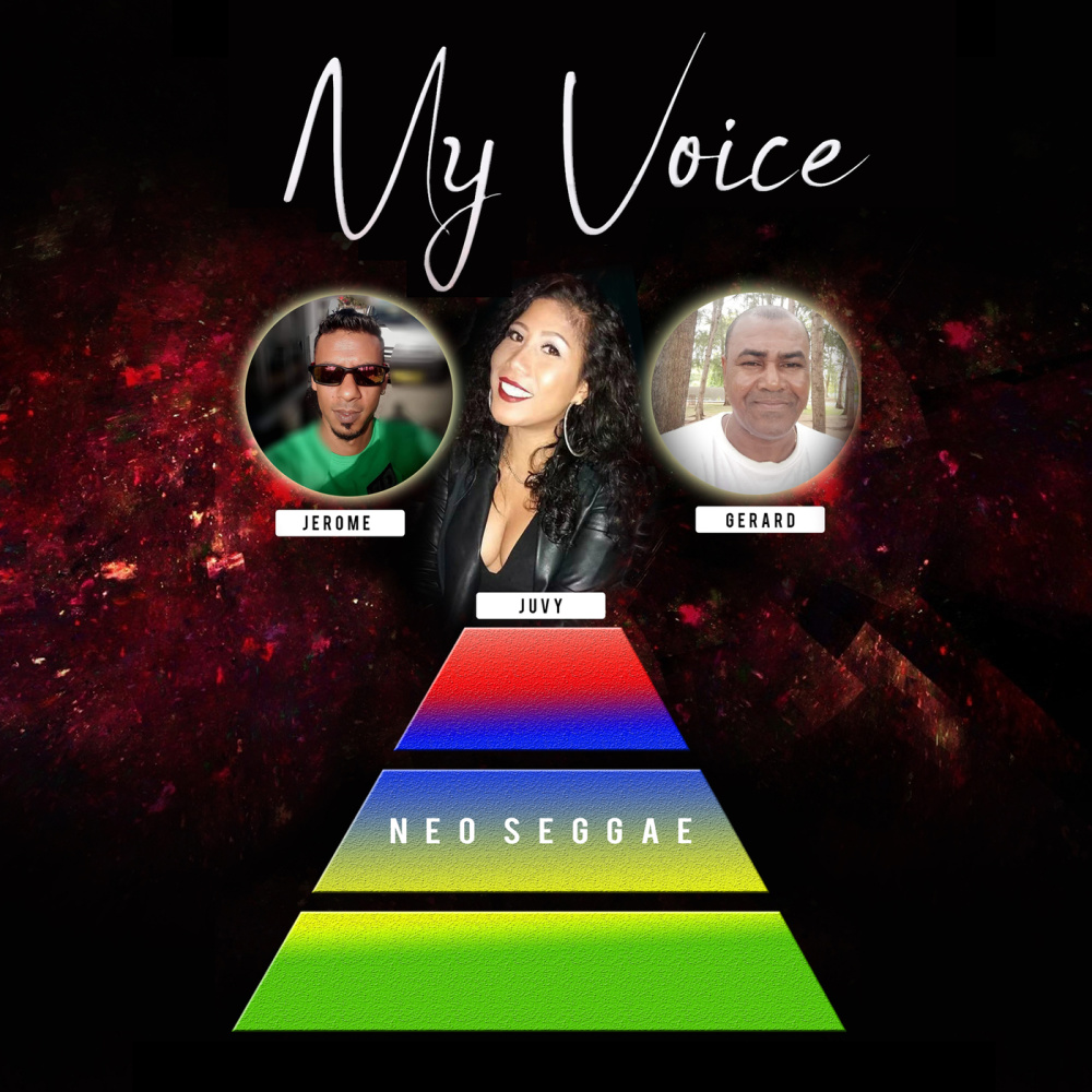 My Voice