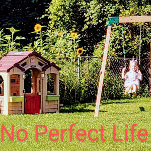 อัลบัม No Perfect Life ศิลปิน Justin Rose