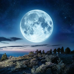 收聽Relax y Bienestar的Melodías Serenas Para Descansar歌詞歌曲