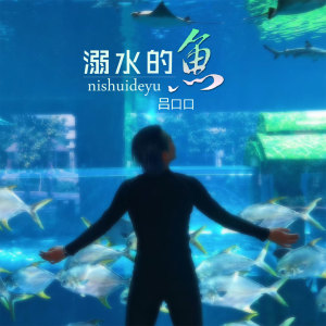 Listen to 溺水的鱼 (伴奏) song with lyrics from 吕口口
