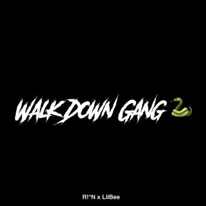收听R!°N的Walk Down Gang (feat. LilBee) (Explicit)歌词歌曲