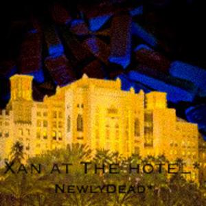 NewlyDead*的專輯Xan At The Hotel* (Explicit)
