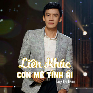 Đặng Trí Trung的专辑Liên Khúc Cơn Mê Tình Ái