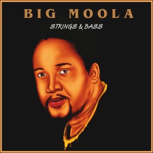 Big Moola的專輯Strings & Bass