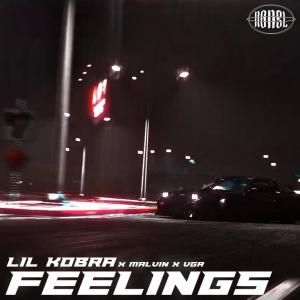 Album FEELINGS (feat. Vgr) (Explicit) from NonSL