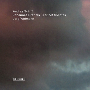 收聽Andras Schiff的Brahms: Sonata for Clarinet and Piano No. 2 in E Flat Major, Op. 120 No. 2 - 2. Allegro appassionato歌詞歌曲