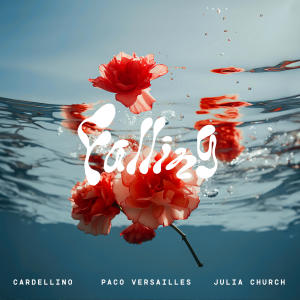 Album Falling from Cardellino